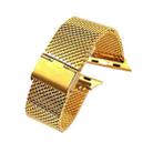304 Stainless Steel Milanese Watch Band with Connector For Apple Watch Series 8&7 41mm / SE 2&6&SE&5&4 40mm / 3&2&1 38mm(Gold) - 1