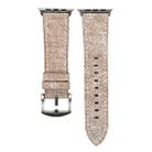 For Apple Watch Ultra 49mm / Series 8&7 45mm / SE 2&6&SE&5&4 44mm / 3&2&1 42mm Simple Fashion Genuine Leather Cowboy Pattern Watch Band(Light Grey) - 2