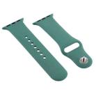 For Apple Watch Series 7 41mm / 6 & SE & 5 & 4 40mm / 3 & 2 & 1 38mm Silicone Watch Band (Green) - 1