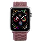 Simple Fashion Nylon Watch Band for Apple Watch Ultra 49mm&Watch Ultra 2 49mm / Series 10 46mm / 9&8&7 45mm / SE 3&SE 2&6&SE&5&4 44mm / 3&2&1 42mm, with Magic Stick(Purple) - 3