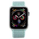 Simple Fashion Nylon Watch Band for Apple Watch Series 10 42mm / 9&8&7 41mm / SE 3&SE 2&6&SE&5&4 40mm / 3&2&1 38mm, with Magic Stick(Grey Green) - 3