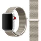 Simple Fashion Nylon Watch Band for Apple Watch Series 9&8&7 41mm / SE 3&SE 2&6&SE&5&4 40mm / 3&2&1 38mm, with Magic Stick(Light Grey) - 1