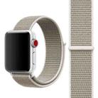 Simple Fashion Nylon Watch Band for Apple Watch Series 10 42mm / 9&8&7 41mm / SE 3&SE 2&6&SE&5&4 40mm / 3&2&1 38mm, with Magic Stick(Light Grey) - 1