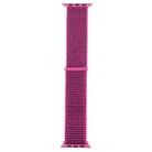For Apple Watch 42mm / 41mm / 40mm / 38mm Simple Fashion Nylon Watch Band with Magic Stick(Red Purple) - 3