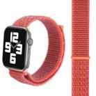 Simple Fashion Nylon Watch Band for Apple Watch Series 7 41mm / 6 & SE & 5 & 4 40mm / 3 & 2 & 1 38mm, with Magic Stick(Apricot) - 1