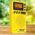 DAB-P9 Pocket Mini DAB Digital Radio with MP3 Player - 1
