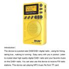 DAB-P9 Pocket Mini DAB Digital Radio with MP3 Player - 5