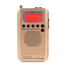 HRD-737 Portable Aircraft Band Radio Wide Frequency Receiver (Gold) - 1