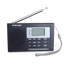 HRD-1032 Portable Full Band Digital Demodulation Stereo Radio (Black) - 1