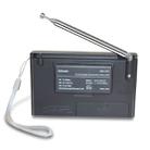 HRD-1032 Portable Full Band Digital Demodulation Stereo Radio (Black) - 3