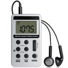 HRD-103 FM + AM Two Band Portable Radio with Lanyard & Headset(Silver) - 1