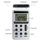 HRD-103 FM + AM Two Band Portable Radio with Lanyard & Headset(Silver) - 3