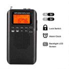 HRD-104 Mini Portable FM + AM Two Band Radio with Loudspeaker(Black) - 5