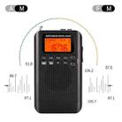 HRD-104 Mini Portable FM + AM Two Band Radio with Loudspeaker(Black) - 7