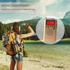 HRD-104 Mini Portable FM + AM Two Band Radio with Loudspeaker(Black) - 10