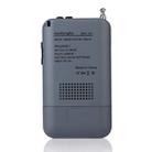 HRD-104 Mini Portable FM + AM Two Band Radio with Loudspeaker(Grey) - 3