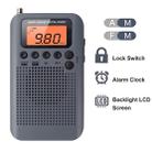 HRD-104 Mini Portable FM + AM Two Band Radio with Loudspeaker(Grey) - 5