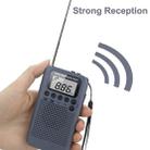 HRD-104 Mini Portable FM + AM Two Band Radio with Loudspeaker(Grey) - 6