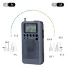HRD-104 Mini Portable FM + AM Two Band Radio with Loudspeaker(Grey) - 7