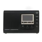 HRD-310 Portable FM AM SW Full Band Digital Demodulation Radio (Black) - 1