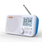 C10 2.4 inch Portable Color LCD FM / DAB Digital Radio, Support BT & TF Card (White) - 1