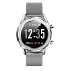 DT28 1.54inch IP68 Waterproof Steel Strap Smartwatch Bluetooth 4.2, Support Incoming Call Reminder / Blood Pressure Monitoring / Watch Payment(Silver) - 2