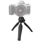 Multi-function Mini Tripod Holder Stand Mount for Mobile Phone / Digital Camera(Black) - 1