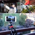MZ305 Mini Octopus Flexible Tripod Holder with Ball Head for SLR Cameras, GoPro HERO10 Black / HERO9 Black / HERO8 Black /7 /6 /5 /5 Session /4 Session /4 /3+ /3 /2 /1, DJI Osmo Action, Xiaoyi and Other Action Cameras, Cellphone, Size:30cmx5cm - 4
