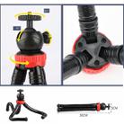 MZ305 Mini Octopus Flexible Tripod Holder with Ball Head for SLR Cameras, GoPro HERO10 Black / HERO9 Black / HERO8 Black /7 /6 /5 /5 Session /4 Session /4 /3+ /3 /2 /1, DJI Osmo Action, Xiaoyi and Other Action Cameras, Cellphone, Size:30cmx5cm - 8
