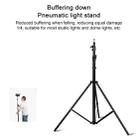 3m Height Professional Photography Metal Lighting Stand Spring Buffer Holder for Studio Flash Light - 6