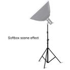 3m Height Professional Photography Metal Lighting Stand Spring Buffer Holder for Studio Flash Light - 7