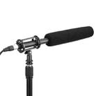 BOYA BY-BM6060L Broadcast-grade Condenser Microphone Modular Pickup Tube Design Microphone - 1