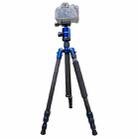 TRIOPO Oubao C-608S Adjustable Portable Carbon Fiber Tripod with Ball Head for SLR Camera - 1