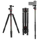 TRIOPO 888 Adjustable Portable Carbon Fiber Tripod with Q-2 Ball Head for SLR Camera, Pipe diameter: 28cm - 1