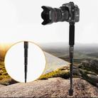 BEXIN P256A Portable Travel Outdoor DSLR Camera Aluminum Alloy Monopod Holder (Black) - 1