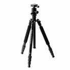 TRIOPO T258 Aluminum Alloy Tripod Monopod with D2 Ball Head (Black) - 1