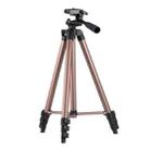 130cm 4-Section Folding Aluminum Alloy Tripod Mount with Three-Dimensional Head(Champagne Gold) - 1