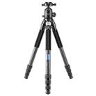 BEXIN RC294 Portable Collapsible Carbon Fiber Camera Tripod with K44 Panoramic Ball Head - 1