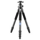 BEXIN RC334 Portable Collapsible Carbon Fiber Camera Tripod with K44 Panoramic BallHead - 1