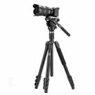 Fotopro S5i Pro 4-Section Tripod Mount with Fluid Drag Head & Head Base (Black) - 1