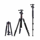 TRIOPO Oubao A-208S Adjustable Portable  Aluminum Alloy Tripod with Ball Head for SLR Camera - 1