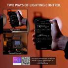 FEELWORLD FL125B 125W Bi-color Point Source Video Light, Bluetooth APP Control(US Plug) - 7