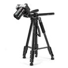 Fotopro DIGI-1003 HR Professional Aluminum Tripod Horizontal Vertical Shooting Holder (Black) - 1