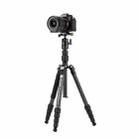 Fotopro X-go Carbon E 2 5-Section Carbon Fiber 2 in 1 Tripod Monopod (Black) - 1