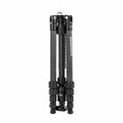 Fotopro X-go Carbon E 2 5-Section Carbon Fiber 2 in 1 Tripod Monopod (Black) - 3