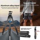 BEXIN TA255-BS30 Portable Collapsible Aluminum Alloy Camera Tripod with Head (Black) - 2