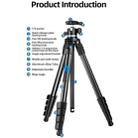 BEXIN TA255-BS30 Portable Collapsible Aluminum Alloy Camera Tripod with Head (Black) - 5