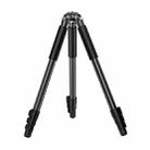 BEXIN RK264 Portable Collapsible Aluminum Alloy Camera Tripod (Black) - 1
