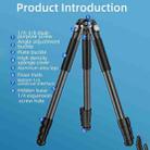 BEXIN RK264 Portable Collapsible Aluminum Alloy Camera Tripod (Black) - 2