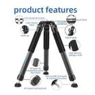 BEXIN ST402C Portable Collapsible Carbon Fiber Camera Tripod (Black) - 2